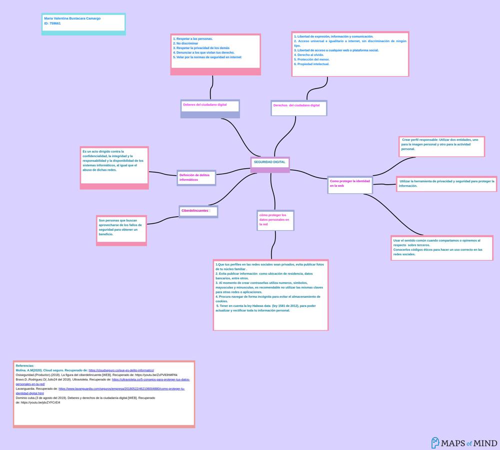 MapsOfMind | Seguridad digital