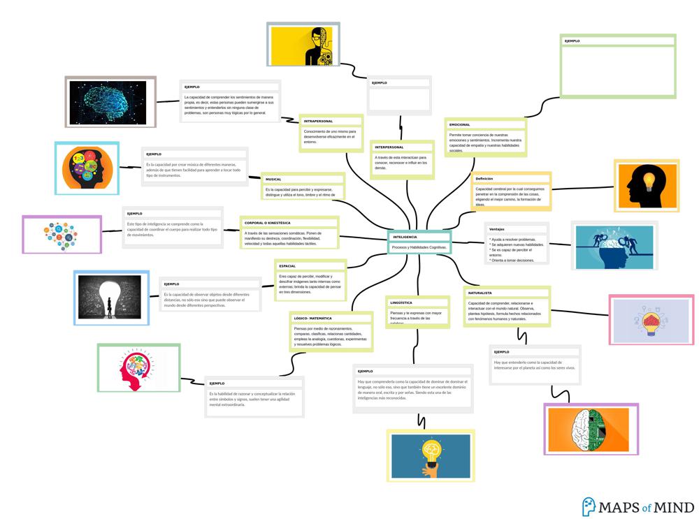 MapsOfMind | INTELIGENCIA